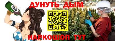 индика Тула