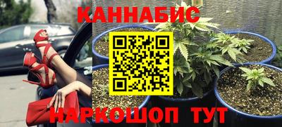 МДПВ Тулун