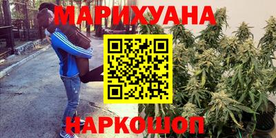 индика Тула